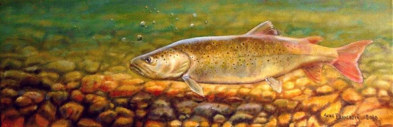 Queen of our waters